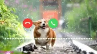 love ringtone 2022//sms ringtone//notification 2022//new ringtone massage 2022