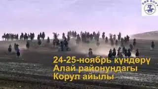 Аламан улак @Алай-Корул
