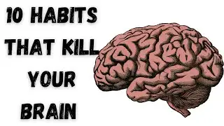 10 Habits That Kill Your Brain