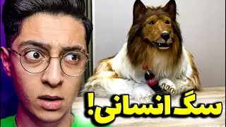 این موجود رو کی کنترل میکنه!؟😰 داستان ترسناک و عجیب سگ توکو که باورتون نمیشه چیه..❌