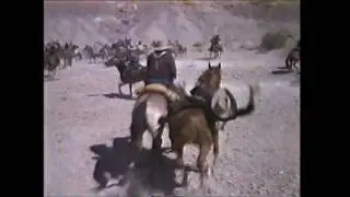 Apaches vs US cavalry