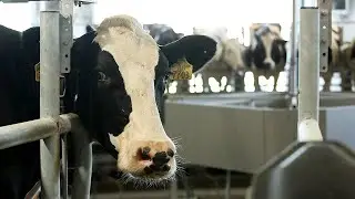 Growing Opportunity: Cool Lawn Farm