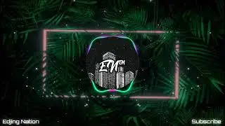Basta Boi - Alfons | TikTok Remix