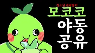 [로스트아크]모코코 야동 (청소년 관람불가)