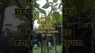 RAWIT PUTIH ORGANIC SUBUR MAKMUR #organic #pekaranganrumah #jakaba