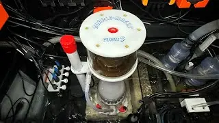Review (1 Year Update): Curve 5 Protein Skimmer by Bubble Magus