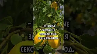 17 июня 2024 г.