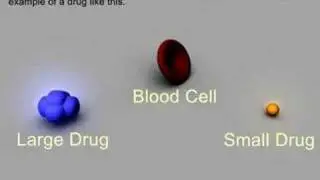 Factors Affecting Drug Distribution