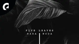 Hara Noda - Steals and Inscriptions (Royalty Free Jazz)