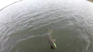 Горево19 09 2021