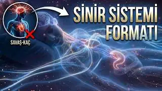 Sinir Sistemi Formatı | Savaş-Kaç Modundan Çık, Vagus Sinirini Yatıştır | Uyku Hipnozu