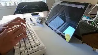 TM680 w/ YOK Holy Trash Pandas