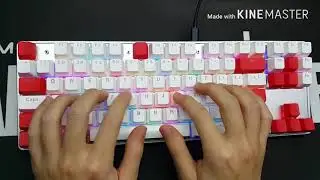 아콘 dx 저소음 적축 순정과 스프링 35g 교체 및 윤활 비교 타건