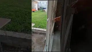 19 сентября 2023 г.