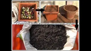 How to make compost from kitchen vegetable waste