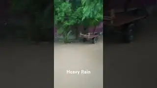 Heavy Rain |  Rainy Day #youtubeshorts #shortvideo