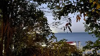 Жить в Сочи можно так
