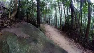 GoPro - FRIM - Morning Trail Run