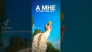 лето 2021
