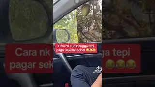 CURI MANGGA STYLE BARU
