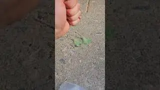 🫠 ЧТО ЕЩЕ РАЗБИТЬ? 😉 