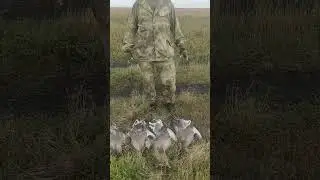 всё труды были не напрасны.