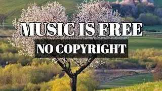 Moving Violation | Music Is Free | No Copyright Music | Vlog Music