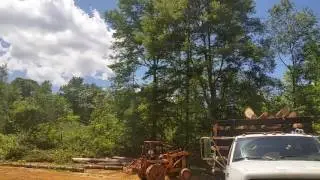 clearing land 1
