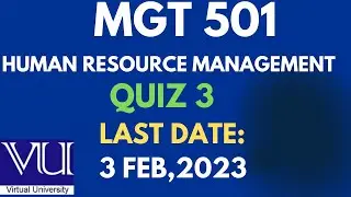 MGT 501-QUIZ 3-SOLUTION FALL 2023