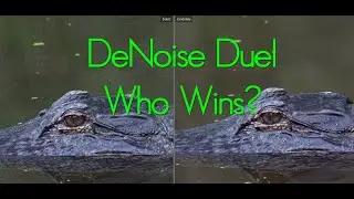 Lightroom Denoise AI Vs. Topaz Photo AI, Who Will Win?
