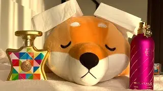 Asmr PERFUME and Paper / Spray and squeeze Elite perfumes