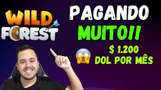 O JOGO MAIS LUCRATIVO DE DEZEMBRO DA RONIN