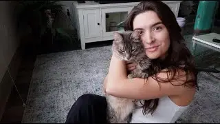 i got a cat and a colonoscopy