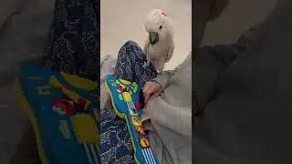 AJ sees a new toy! 🤣♥️