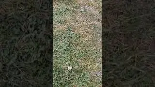Поднялись на Байкале на церковь и виды)