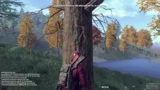 Lagger H1z1?