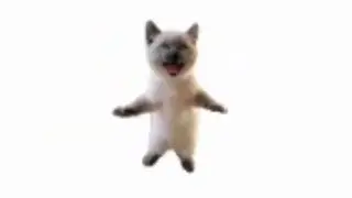 шни шна шнапи шнапи шнапи шнап 3