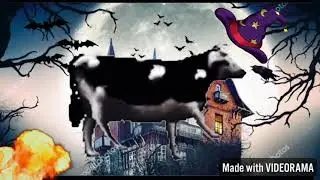 SPOOKY SCARY SKELETONS- Halloween special