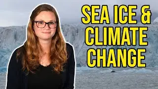Using Maths to Solve Climate Change
