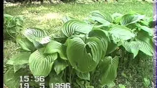 Лабинск 1996 год.