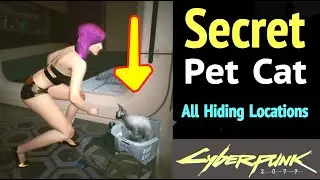 All Cat Hiding Locations in Cyberpunk 2077: How to Get Pet Cat and Cat Food