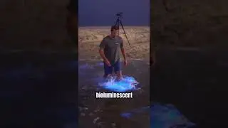 Why is the Water Glowing?