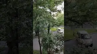 #аунасводворе