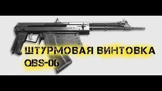 Штурмовая винтовка QBS 06