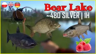 Bear Lake carp no pva | Russian Fishing 4 rf4 spot #76 