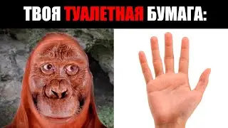 Это твоя туалетная бумага