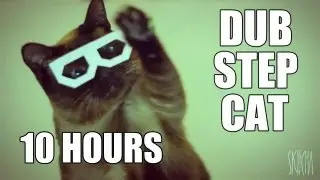 stereo skifcha | dubstep cat [10 HOURS VERSION]