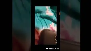 What do you hear? *Turn down volume* Raptor Box session audio clip - Slowed to 0.5 and trimmed
