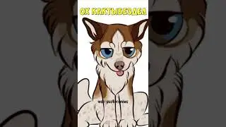 Гайд по вступлению? 🥰 