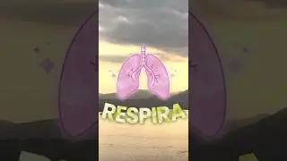 Voi fate caso alla vostra respirazione? 🧘🏼‍♀️ #perte #respiration #nature #relax #stress